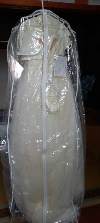 ウエディングドレス（古着・ファッション）の商品画像 - 査定依頼日：2025年8月13日 - 最高査定価格：3,000円