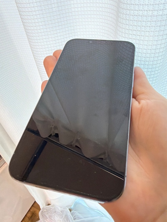 iPhone iPhone 13 Pro 256GB SIMフリー（スマホ）の商品画像 - 査定依頼日：2026年5月31日 - 最高査定価格：48,000円
