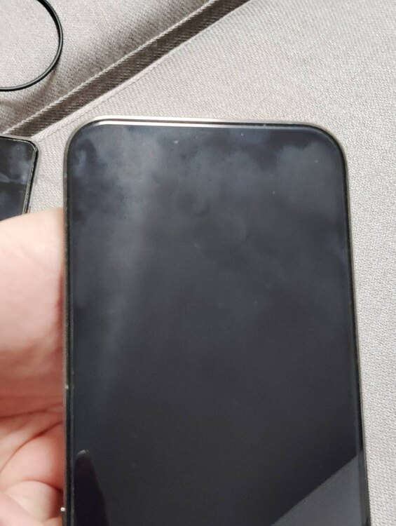 iPhone 13 Pro Max 512GB SIMフリー（スマホ）の商品画像 - 査定依頼日：2024年4月29日 - 最高査定価格：82,000円