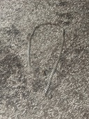 ネックレス（金・貴金属）の商品画像 - 査定依頼日：2026年8月29日 - 最高査定価格：100,000円