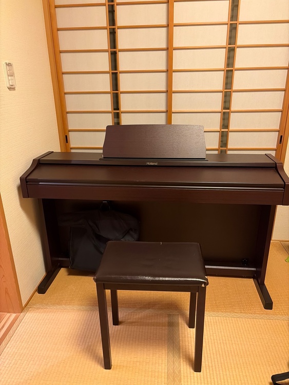 RP101-MH.  SERIALNO. ZW94327（ピアノ・楽器・PA機材）の商品画像 - 査定依頼日：2026年4月8日 - 最高査定価格：5,000円