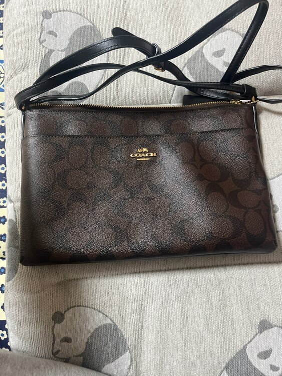 その他 コーチ （ブランドバッグ）の商品画像 - 査定依頼日：2025年4月30日 - 最高査定価格：1,000円