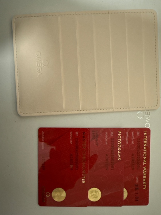 オメガ シーマスター 210.30.42.20.01001（高級時計）の商品画像 - 査定依頼日：2026年3月21日 - 最高査定価格：650,000円