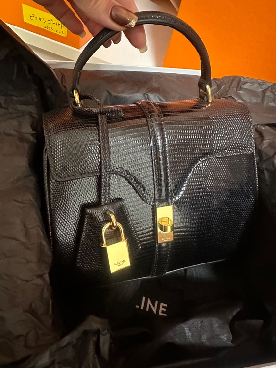 ミニ 16（セーズ） / リザード（ブランドバッグ）の商品画像 - 査定依頼日：2025年12月27日 - 最高査定価格：400,000円