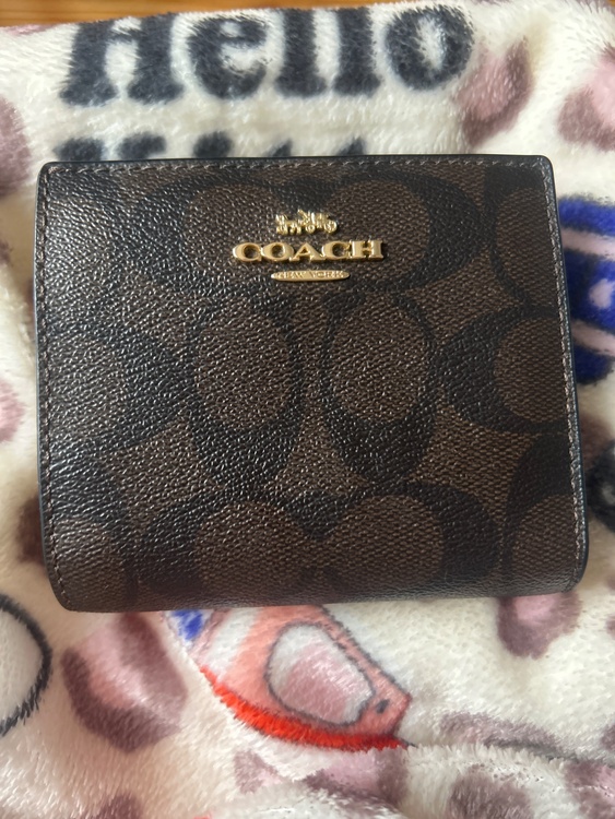 その他 コーチ （ブランドバッグ）の商品画像 - 査定依頼日：2026年2月17日 - 最高査定価格：2,500円