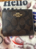 その他 コーチ （ブランドバッグ）の商品画像 - 査定依頼日：2026年2月17日 - 最高査定価格：2,500円