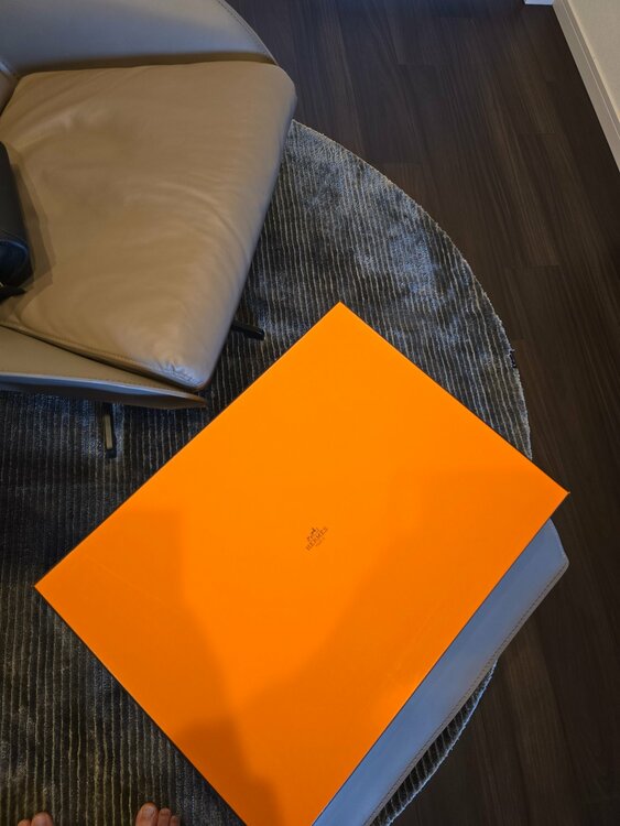 エルメス エルメス(その他) （ブランドバッグ）の商品画像 - 査定依頼日：2026年3月9日 - 最高査定価格：400,000円