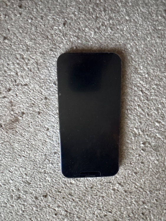 iPhone 13 Pro 256GB SIMフリー（スマホ）の商品画像 - 査定依頼日：2026年3月29日 - 最高査定価格：49,000円