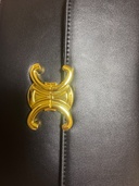 セリーヌ  （ブランドバッグ）の商品画像 - 査定依頼日：2026年2月17日 - 最高査定価格：250,000円