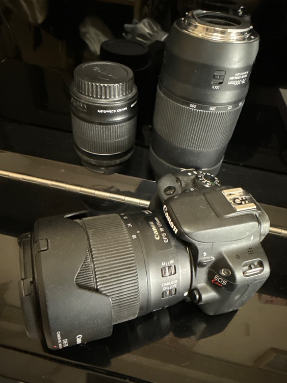 Canon EOS Kiss X7（カメラ）の商品画像 - 査定依頼日：2026年1月7日 - 最高査定価格：75,000円