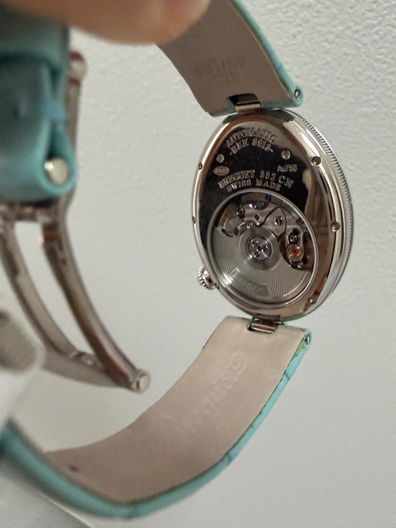 クイーンオブネイプルズ（高級時計）の商品画像 - 査定依頼日：2026年1月25日 - 最高査定価格：3,300,000円