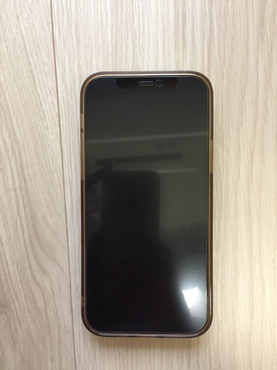 iPhone 12 Pro 256GB Softbank（スマホ）の商品画像 - 査定依頼日：2025年5月12日 - 最高査定価格：43,000円