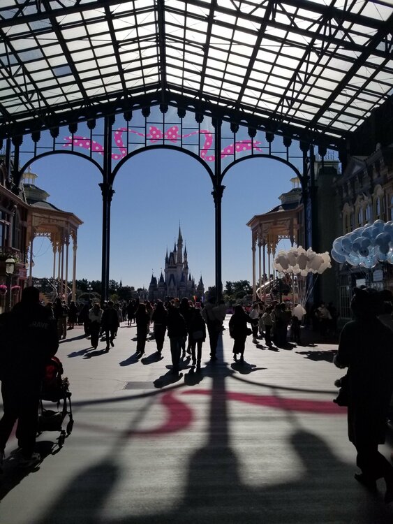 ウイスキー ジョニーウォーカー （お酒）の商品画像 - 査定依頼日：2026年1月25日 - 最高査定価格：3,000円