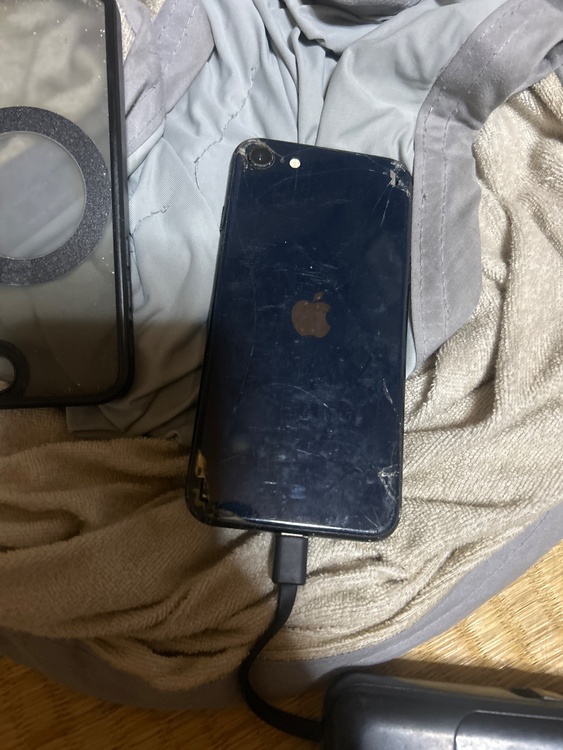 iPhone iPhone SE (第 3 世代) 64GB SIMフリー（スマホ）の商品画像 - 査定依頼日：2026年9月26日 - 最高査定価格：9,000円