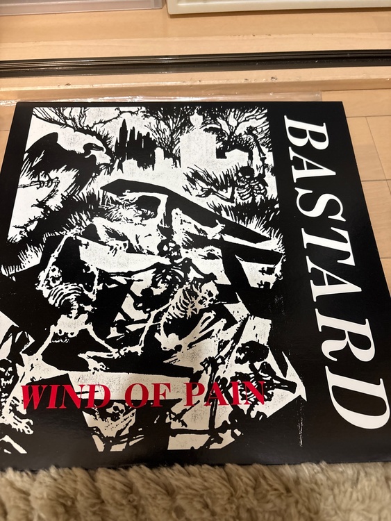bastard wind of pain（レコード）の商品画像 - 査定依頼日：2026年4月26日