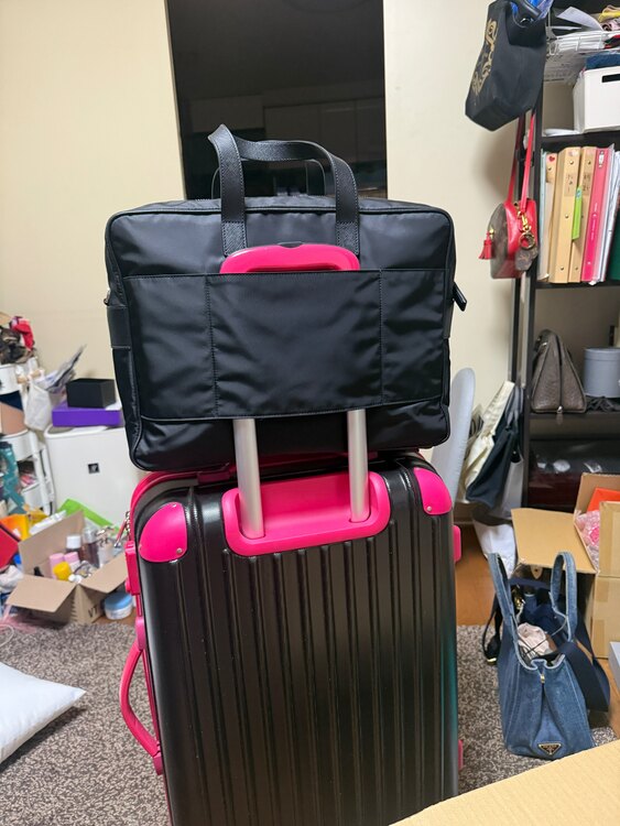 プラダ  （ブランドバッグ）の商品画像 - 査定依頼日：2025年5月8日 - 最高査定価格：100,000円