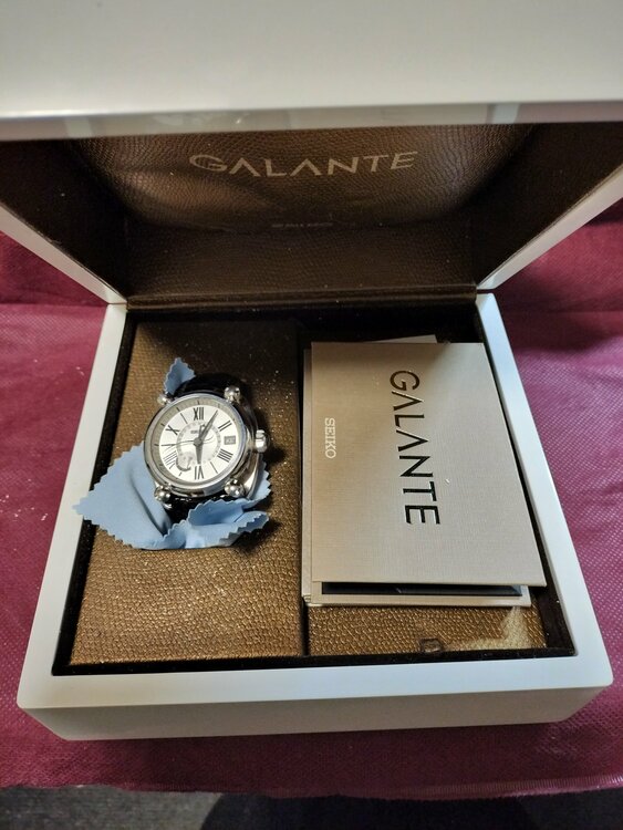 セイコー スプリントドライブ SBLA005 型式5R66-0AC0に（高級時計）の商品画像 - 査定依頼日：2026年2月1日 - 最高査定価格：100,000円