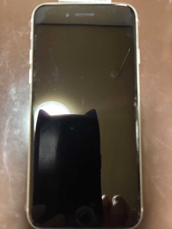 iPhone iPhone SE (第 2 世代) 128GB docomo（スマホ）の商品画像 - 査定依頼日：2026年6月20日 - 最高査定価格：11,000円