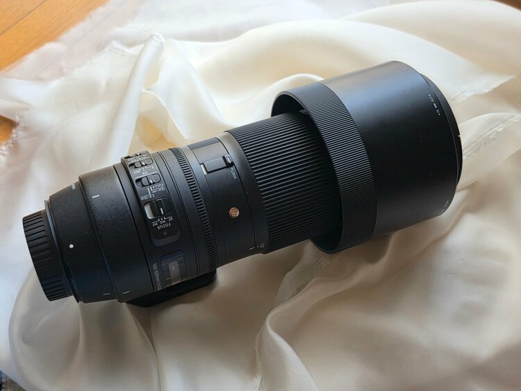 SIGMA 150-600mm F5-6.3 DG OS HSM Contemp（カメラ）の商品画像 - 査定依頼日：2026年8月4日 - 最高査定価格：110,000円