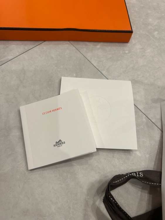 エブリン　セリエ　TPM（ブランドバッグ）の商品画像 - 査定依頼日：2026年1月13日 - 最高査定価格：380,000円