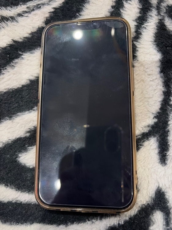 iPhone13Pro（スマホ）の商品画像 - 査定依頼日：2026年10月8日 - 最高査定価格：44,000円