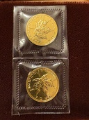 カナダ　メイプル金貨　1/10オンス　1991年