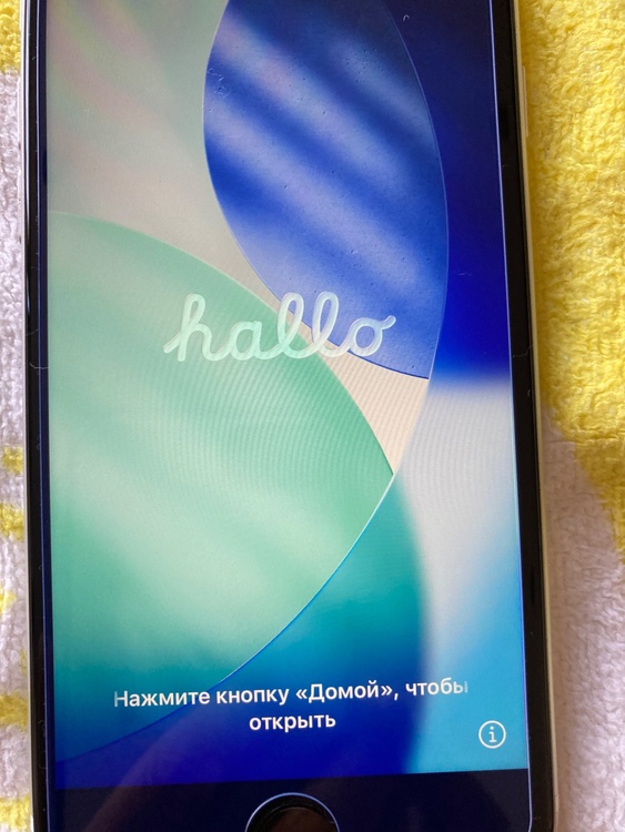 iPhone SE (第 2 世代) 64GB docomo（スマホ）の商品画像 - 査定依頼日：2026年2月26日 - 最高査定価格：13,000円