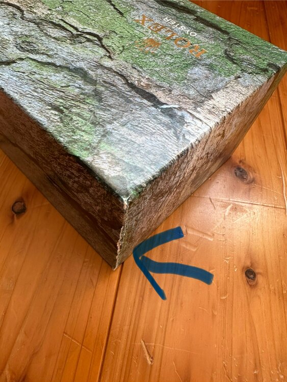 ロレックス エクスプローラー 1657（高級時計）の商品画像 - 査定依頼日：2025年5月29日 - 最高査定価格：980,000円