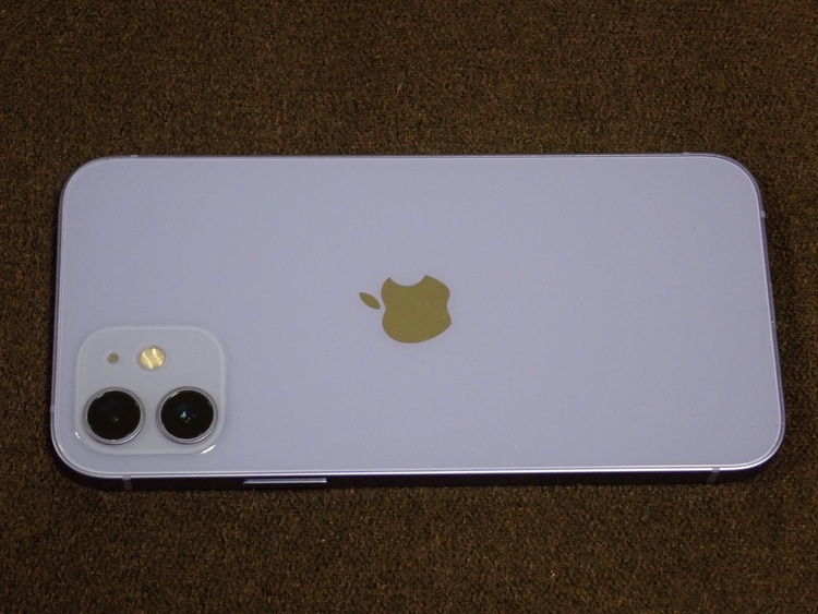 iPhone iPhone 12 256GB docomo（スマホ）の商品画像 - 査定依頼日：2026年6月28日 - 最高査定価格：27,000円