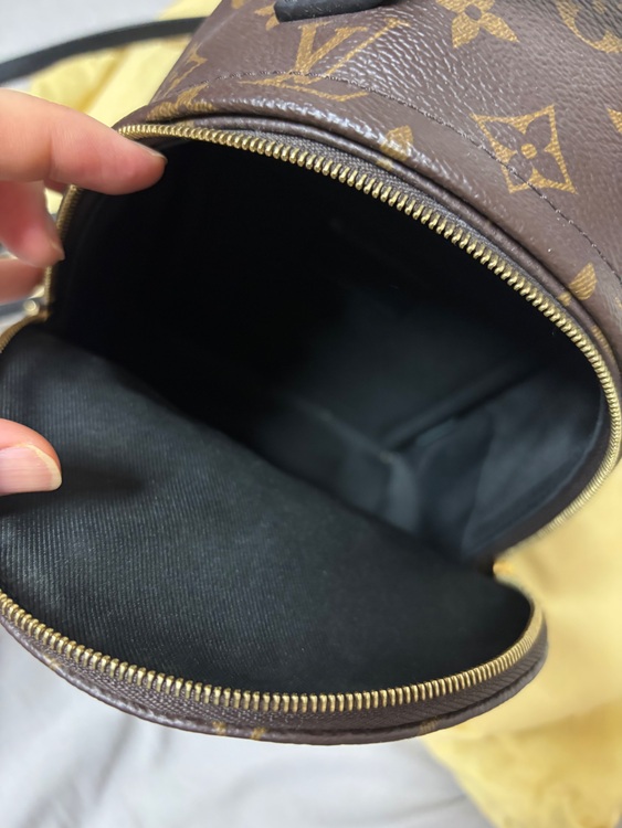 バックパックMINI  パームスプリングス（ブランドバッグ）の商品画像 - 査定依頼日：2025年6月16日 - 最高査定価格：220,000円