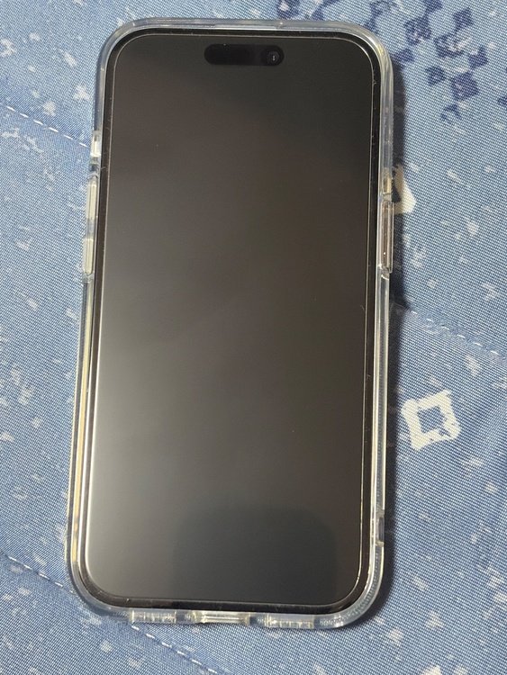 iPhone iPhone 15 128GB SIMフリー（スマホ）の商品画像 - 査定依頼日：2026年9月15日 - 最高査定価格：63,000円