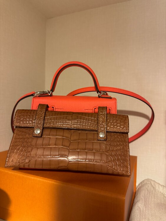 ケリードールピコ（ブランドバッグ）の商品画像 - 査定依頼日：2025年4月23日 - 最高査定価格：5,150,000円