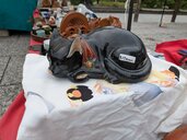 黒い眠り猫（美術品・骨董品）の商品画像 - 査定依頼日：2026年7月13日 - 最高査定価格：1,000円