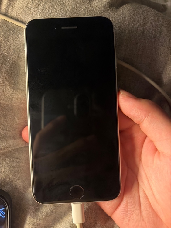 iPhone iPhone SE (第 2 世代) 128GB docomo（スマホ）の商品画像 - 査定依頼日：2026年8月10日 - 最高査定価格：12,000円