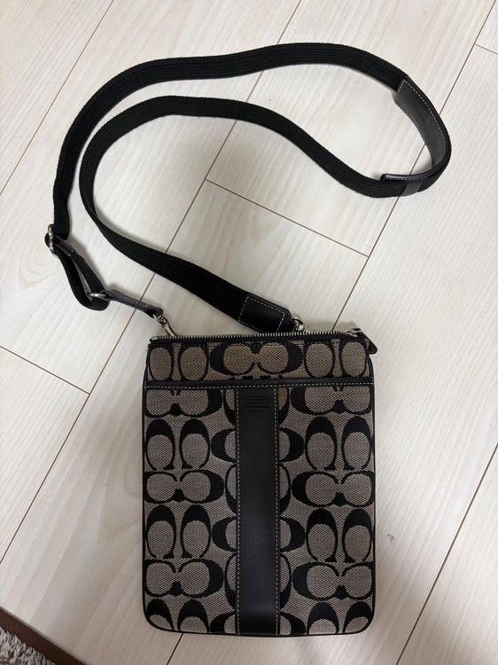 肩掛けショルダー（ブランドバッグ）の商品画像 - 査定依頼日：2025年12月10日 - 最高査定価格：3,000円