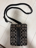 肩掛けショルダー（ブランドバッグ）の商品画像 - 査定依頼日：2025年12月10日 - 最高査定価格：3,000円