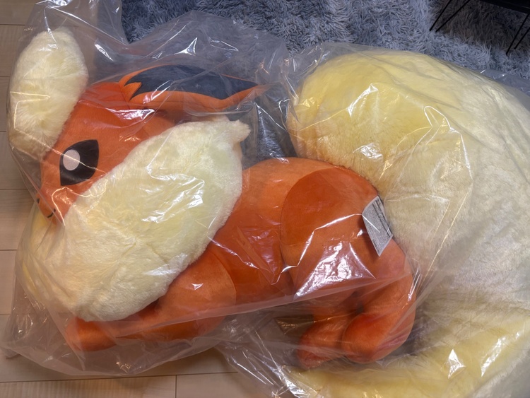 ぬいぐるみ 等身大ブースター 寝そべり ポケモンセンターオリジナル（その他のおもちゃ）の商品画像 - 査定依頼日：2026年6月29日 - 最高査定価格：1,000円