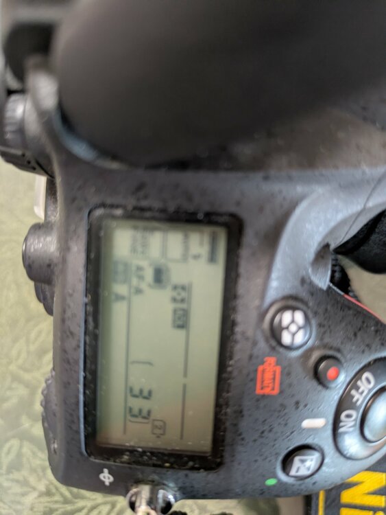 D600 24-85VRキット箱説明書付き（カメラ）の商品画像 - 査定依頼日：2026年9月11日 - 最高査定価格：32,000円