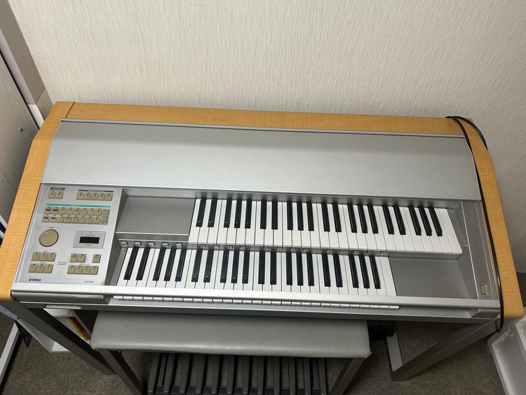 ELS-02C（バイタライズ）（ピアノ・楽器・PA機材）の商品画像 - 査定依頼日：2025年11月12日 - 最高査定価格：30,000円