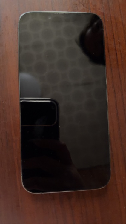iPhone13Pro（スマホ）の商品画像 - 査定依頼日：2026年7月11日 - 最高査定価格：22,000円