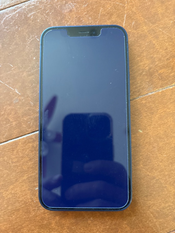 iPhone iPhone 12 mini 256GB SIMフリー（スマホ）の商品画像 - 査定依頼日：2026年5月30日 - 最高査定価格：23,000円