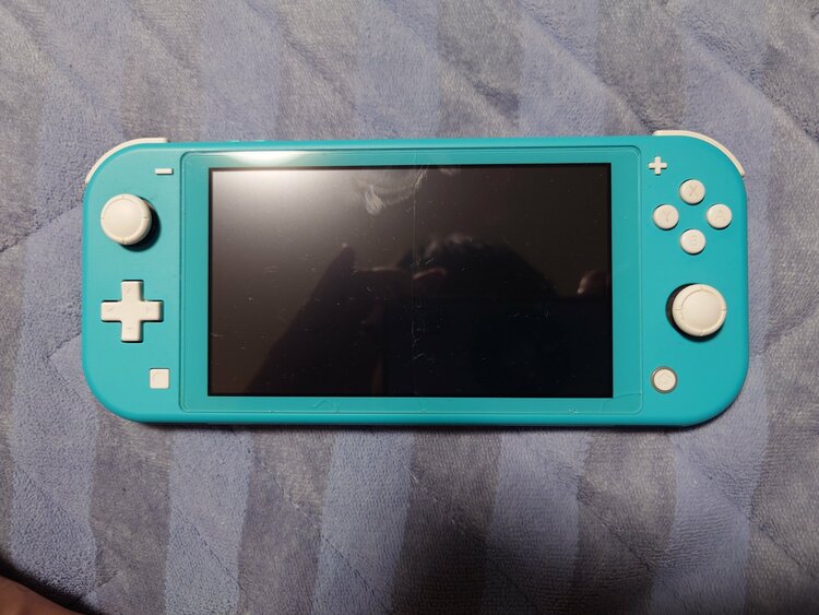 Nintendo Switch Lite（ゲーム機本体・ゲームソフト）の商品画像 - 査定依頼日：2026年4月12日 - 最高査定価格：12,000円