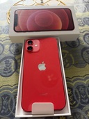 iPhone 12 mini 128GB docomo（スマホ）の商品画像 - 査定依頼日：2026年3月8日 - 最高査定価格：22,000円