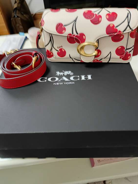 その他 コーチ （ブランドバッグ）の商品画像 - 査定依頼日：2025年1月28日 - 最高査定価格：5,000円