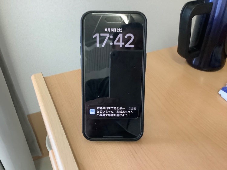 iPhone iPhone 15 Pro Max 256GB docomo（スマホ）の商品画像 - 査定依頼日：2026年9月5日 - 最高査定価格：97,000円