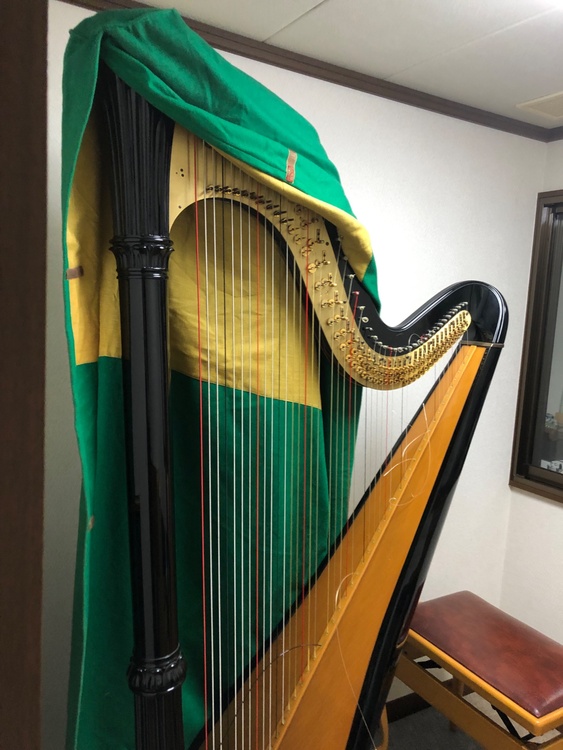 サルヴィハープ  ■機種名 Salvi DIANANA Ebony （ピアノ・楽器・PA機材）の商品画像 - 査定依頼日：2026年5月6日 - 最高査定価格：20,000円