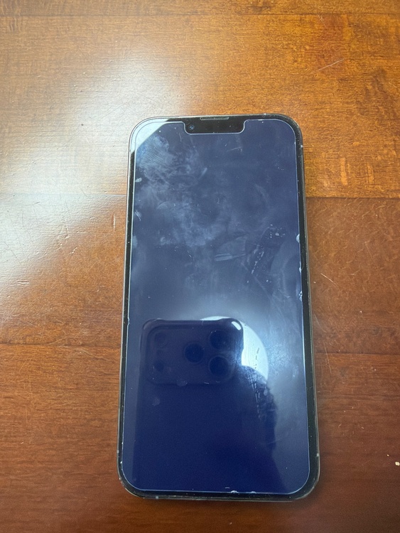 iPhone iPhone 13 Pro 256GB docomo（スマホ）の商品画像 - 査定依頼日：2026年5月28日 - 最高査定価格：48,000円