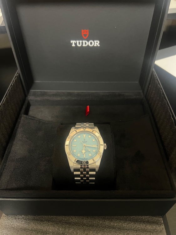 チューダー ブラックベイ M79000-0001（高級時計）の商品画像 - 査定依頼日：2026年3月31日 - 最高査定価格：710,000円