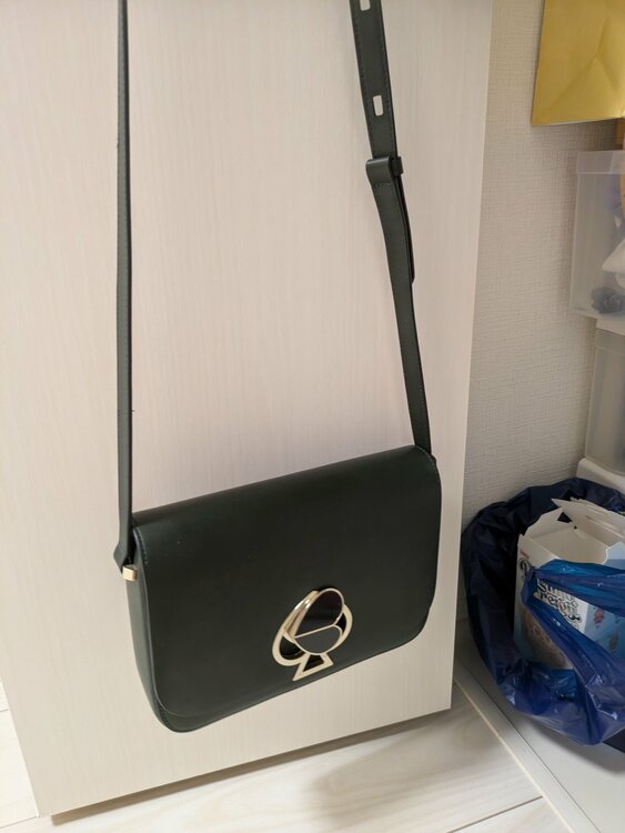 その他 その他 （ブランドバッグ）の商品画像 - 査定依頼日：2026年3月20日 - 最高査定価格：100,000円