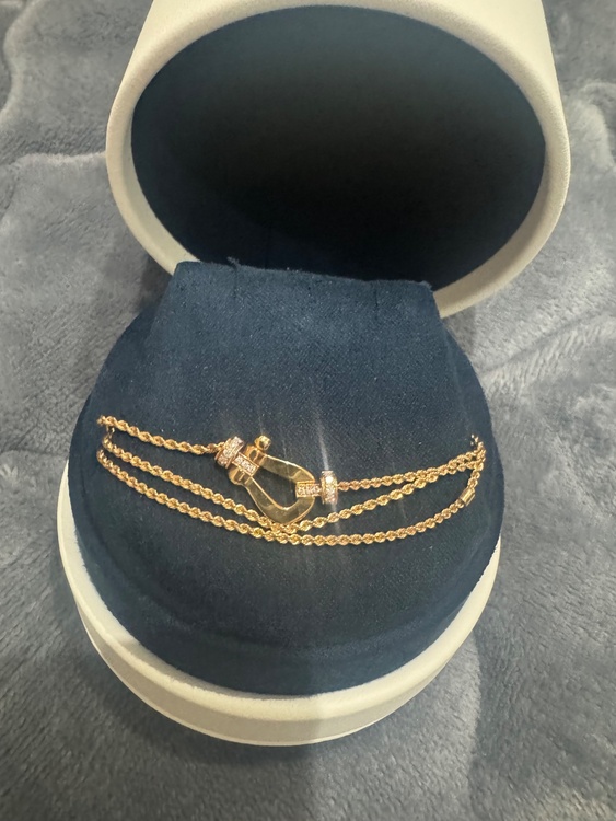 FREDネックレス（金・貴金属）の商品画像 - 査定依頼日：2026年1月25日 - 最高査定価格：300,000円